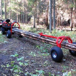 31.0000_09_iron_baltic_log_hauler_1