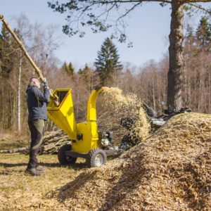 76.5000_09_wood-chipper-g2-briggs-and-stratton-4hp-ironbaltic